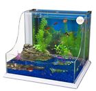 30172095931 Reptt1 Penn Plax New The Lagoon Aqua Terrarium Taxfree