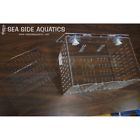 Rf300 Bubble Magus Acclimation Box Saltwater Fish Traps