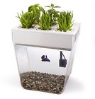 B00cn52trm Roots Aquarium Aquafarm Packaging V2 Vary