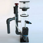 S05101 Hydor Performer 405 Protein 841421007731