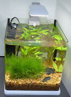 2244 Sale Glass Aquarium Filter Bent Lighting Open Led Kit Gallon 10 2.6