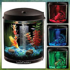 Sd4u675642087531 Cylinder Aquarium With Lighting Specialdeals4u Kit Led Fresh Water 2 Gallon Fish Tank Desktop Tabletop 803173461063
