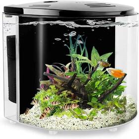 Senseyo Lzfhe6xyok 1.2 Gallon Small Fish Tank Starter Kit - Glass Aquarium With Filter Pump Ide