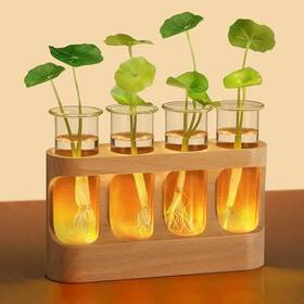 Shenzhen Yijingxuan Technology Co. Ltd Yjx-sp4 Plant Propagation Station With Led Light Glass Test Tube Vases And Transparent