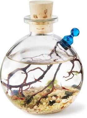 Shrimp Bubble Llc Sbkn-3s New Self-sustaining Ecosystem - Natural. Contains Live Opae Ula