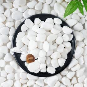 Sidong B0d44yxc18 10 Lb White River Rocks 0.4-1.2 Inch Matte Pebbles For Indoor Plants
