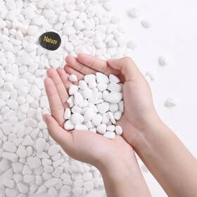 Sidong B0d45888q8 10 Lb White River Rocks 0.3-0.5 Inches Matte Pebbles For Plants