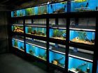 Smart4 Smart Fish Aquarium Retail