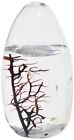 Sp-385 Ecosphere New Closed Aquatic Ecosystem Small