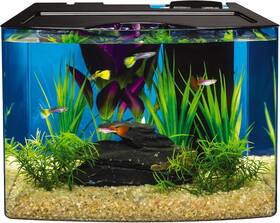 Spectrum Brands Pet Aq-78481erw-1 Tetra Crescent Stem Aquarium Kit 3 Gallons Curved-front Fish Tank With Guide