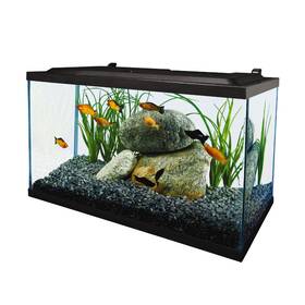Nv33832 Spectrum Brands Pet Llc 10 Gallon Glass Led Aquarium Kit Nv33832 Spectrum Brands Pet Llc 10 Gallon Glass Led Aquarium Kit