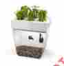 Ssh-cn52trm Back To The Root Water Garden Betta Fish Tank Aquarium Aquaponic Home Office Decor 3 Gallon Plant