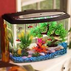 Starter-aquarium-kit-7841 Starter Aquarium Kit 7 762444677841