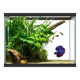 Substratesource Gra20g 20 Gallon Glass Aquarium - 24 X 12.5 17.25 In Large Clear