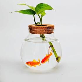 Sudejia Fb-rm-02 Small Fish Bowl Cute Betta Tank High Clear Glass Desktop Mini