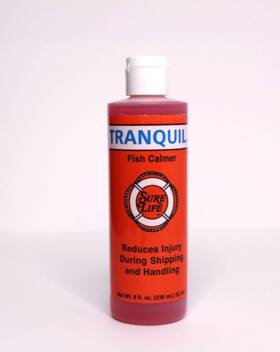 Sure Life 76576 Tranquil Fish Calmer 8 Fl. Oz./236 Ml Reduces Injury During Shipping