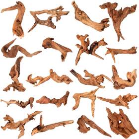 Suzile B0cdx94fyr 20 Pcs Natural Coral Driftwood For Aquariums And Terrariums 4-7 Inches