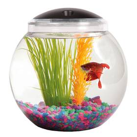 Sw Products 810126920768 1-gallon Globe Fish Tank With Led Lighting 7 Color Selections Imp