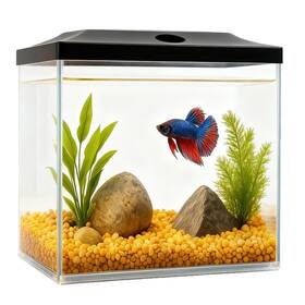 Sw Products B9080 0.8-gallon Cube Small Fish Tank Shatterproof Plastic Clear