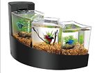 Tanks Fish Fighting Aquariums Japanese Pet Supplies Falls Betta
