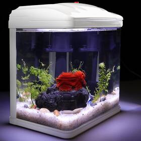Tararium T230fishtank Small Glass Fish Tank-2 Gallon Starter Kit With Led Light And Filter For Betta
