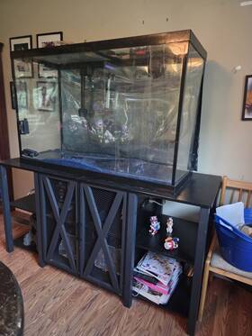 Taus 197839441187 110 Gallon Aquarium Tank With Stand