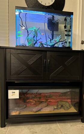 Taus Beysh7fpfz Metal Aquarium Stand Storage Cabinet For 50 Gallon Heavy Duty Fish Tank