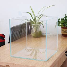 Techtongda 023524 7 Gallons Glass Fish Tank 11.8 Inch Square Aquarium With 5 Pieces 6mm Ultra-clear