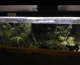 Tenecor Taq298 Accrylic Aquarium Tank And Stand Including Accessories