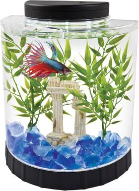 Tetra 711181940008 1 Gallon Half Moon Small Fish Tank With Movable Led Light For Betta And Gold