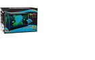 Tetra Glofish 5 Gallon Aquarium Starter Kit 047497331781