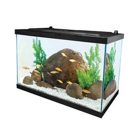 Nv84004 Tetra 20 Gal Glass Led Aquarium Kit