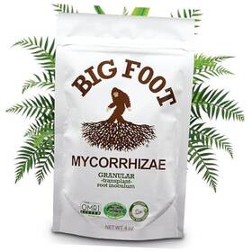 The American Root Company Bfg04 Mycorrhizae - Double Your Plant Size Easy To Use Made In Usa Treats 30