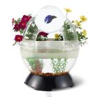 The Frolicking Fish Aquapark Aquatic Amusement Park Planter Transparent Tunnel 819189011680