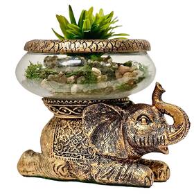 The Nifty Nook B07df7nysy Good Luck Elephant Glass Bowl Gold Antiqued Decorative Figurine With Removable