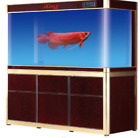 Tmi-1.2m Tiger Mountain Industrial Fish