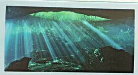 Top Fin 473683 Underwater Cave Static Aquarium/fish Tank Cling Large - 24 Inch X 48