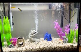 Top Fin 5262266 Essentials 37 Gallon Glass Desk Aquarium-slightly Used