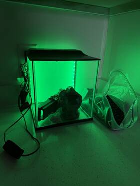 Top Fin 5300984 Aquarium Backlight Kit 3 Gallon Led Fish Tank Lighting
