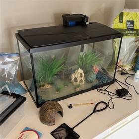 Top Fin Filter-10g 10 Gallon Glass Aquarium Kit With Filter Plants Decorations