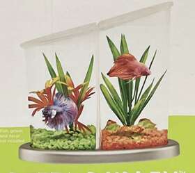 Top Fin Tf-16-055 Betta Duplex Modern Design - Divided Fish Tank 0.5 Gallon Aquarium New