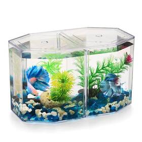 Totority U9cnfjl33e52qg493p119y Box Octagonal Fish Tank Betta Bowl Small Containers Shrimp Tank