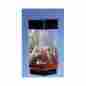 Tt-800 Midwest Tropical Fountain Aqua 8 Gallon Scape Hexagon Aquarium Kit