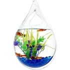U1056250j6ss346 Outgeek Wall Fish Bowls 190033521716