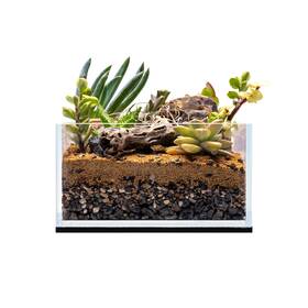 Ultum Nature Systems B0cyh6qfwq Uns Ultra Clear Rimless Tank 0.5gal 2l Fish Aquarium Leveling Mat 6.29x6.29x3.14