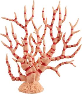 Underwater Treasures Am312044pbo Gorgonian - Orange Creme