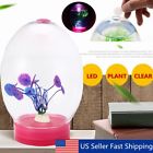 Uqz1475331 Mini Led Lighting Clear Fish Tank Ornament Aquarium Home Office