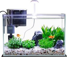 Vimvins 313050035077 5 Gallon Glass Small Fish Tank With Filter Light And Lid Betta Aquarium Starter