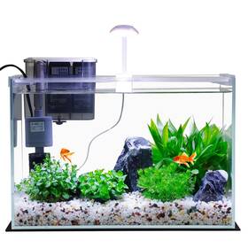 Vimvins B0f1t5l1cw 3 Gallon Glass Betta Fish Tank Starter Kit With Filter Led Lights Small Aquari