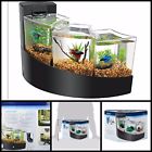 W245 Decorpro Home Office Accessories 709044119173